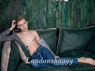 Landonshaggy