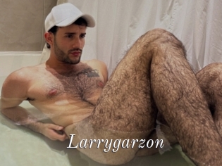 Larrygarzon