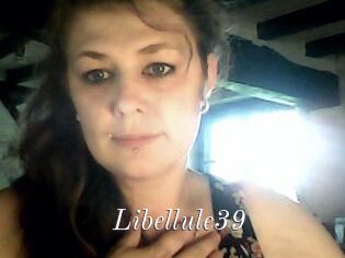 Libellule39