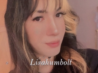 Lisahumbolt