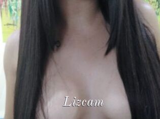 Lizcam