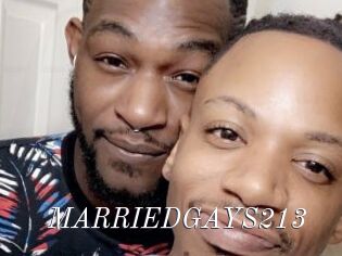 MARRIEDGAYS213