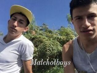 Malehotboys