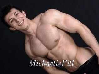 MichaelisFitt