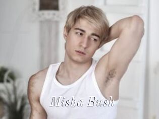 Misha_Bush