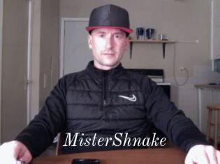 MisterShnake