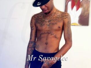 Mr_Savagelee