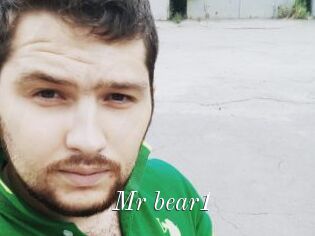 Mr_bear1