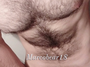 Marcobear18