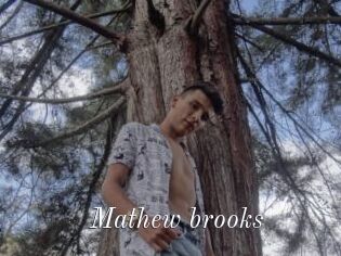 Mathew_brooks