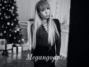 Megangodnes