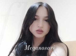 Meganosori