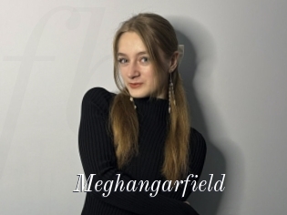 Meghangarfield