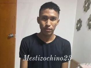 Mestizochino23