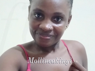 Mollineakinyi