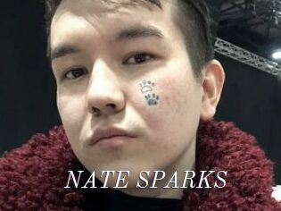 NATE_SPARKS