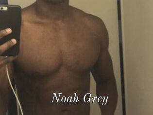 Noah_Grey