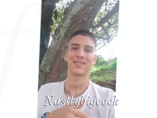 Nasttybigcock