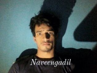 Naveengadil