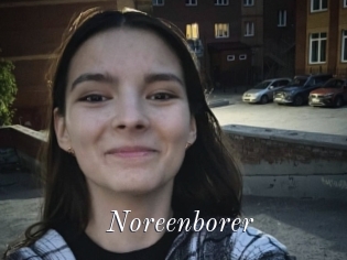 Noreenborer