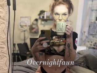 Overnightfaun