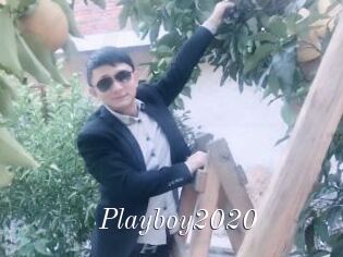 Playboy2020