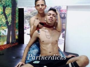 Partnerdicks