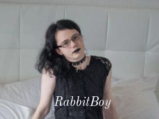 RabbitBoy