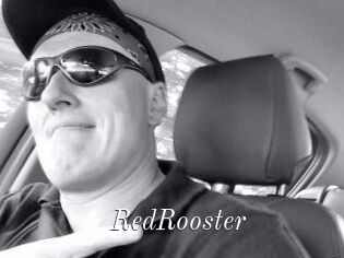 RedRooster