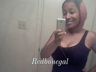 Redbonegal