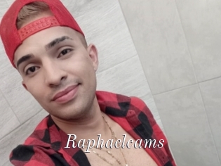 Raphaelcams