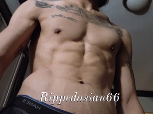 Rippedasian66