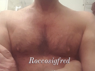 Roccosigfred