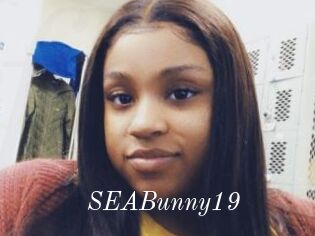 SEABunny19