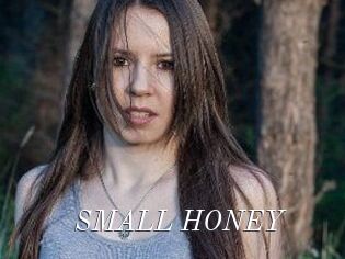 SMALL_HONEY