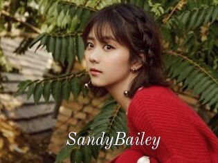 SandyBailey