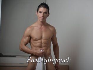 Santtybigcock