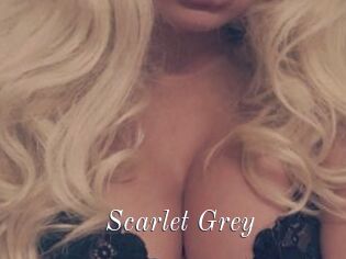 Scarlet_Grey