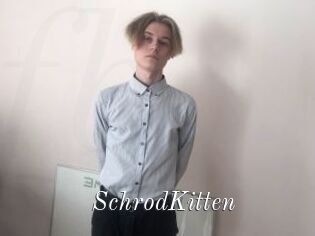 SchrodKitten