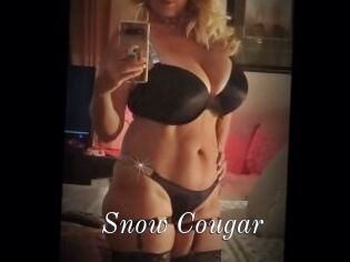 Snow_Cougar