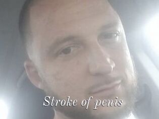 Stroke_of_penis