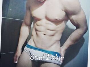 Stud_Fabio