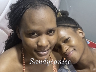 Sandycanice