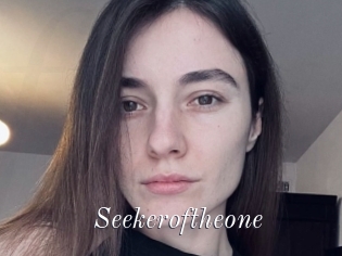 Seekeroftheone