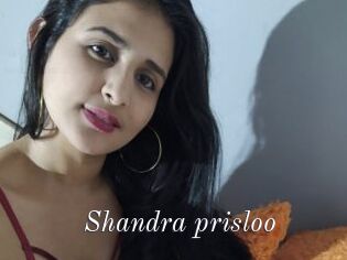 Shandra_prisloo