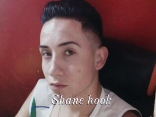 Shane_hook