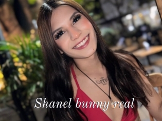 Shanel_bunny_real