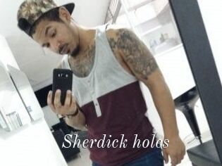 Sherdick_holes