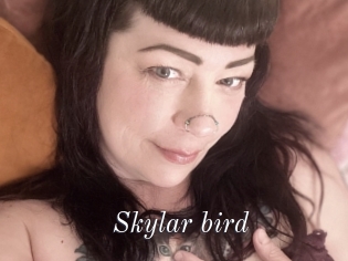 Skylar_bird