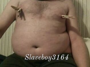 Slaveboy3164